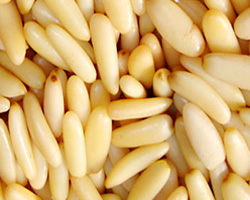 Pine-Nuts